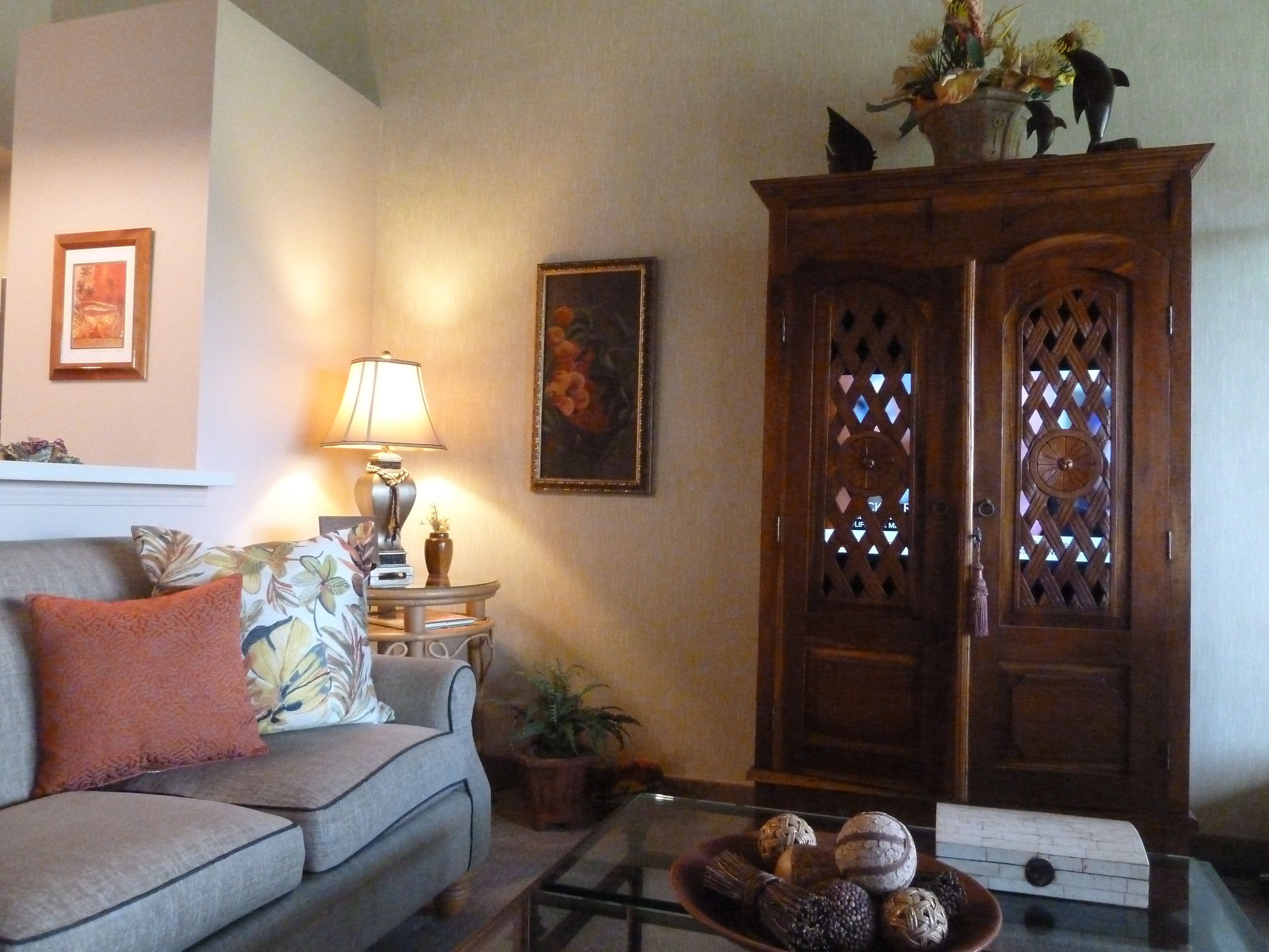 Smart TV, DVD player, books, music library