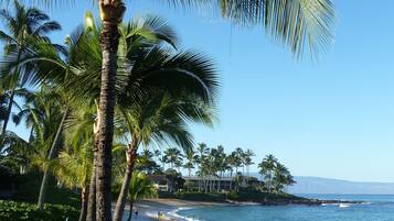 On the beach, sun loungers, beach towels