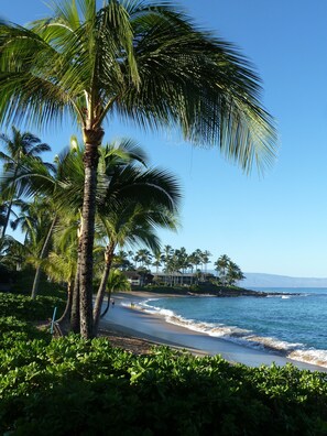 On the beach, sun-loungers, beach towels