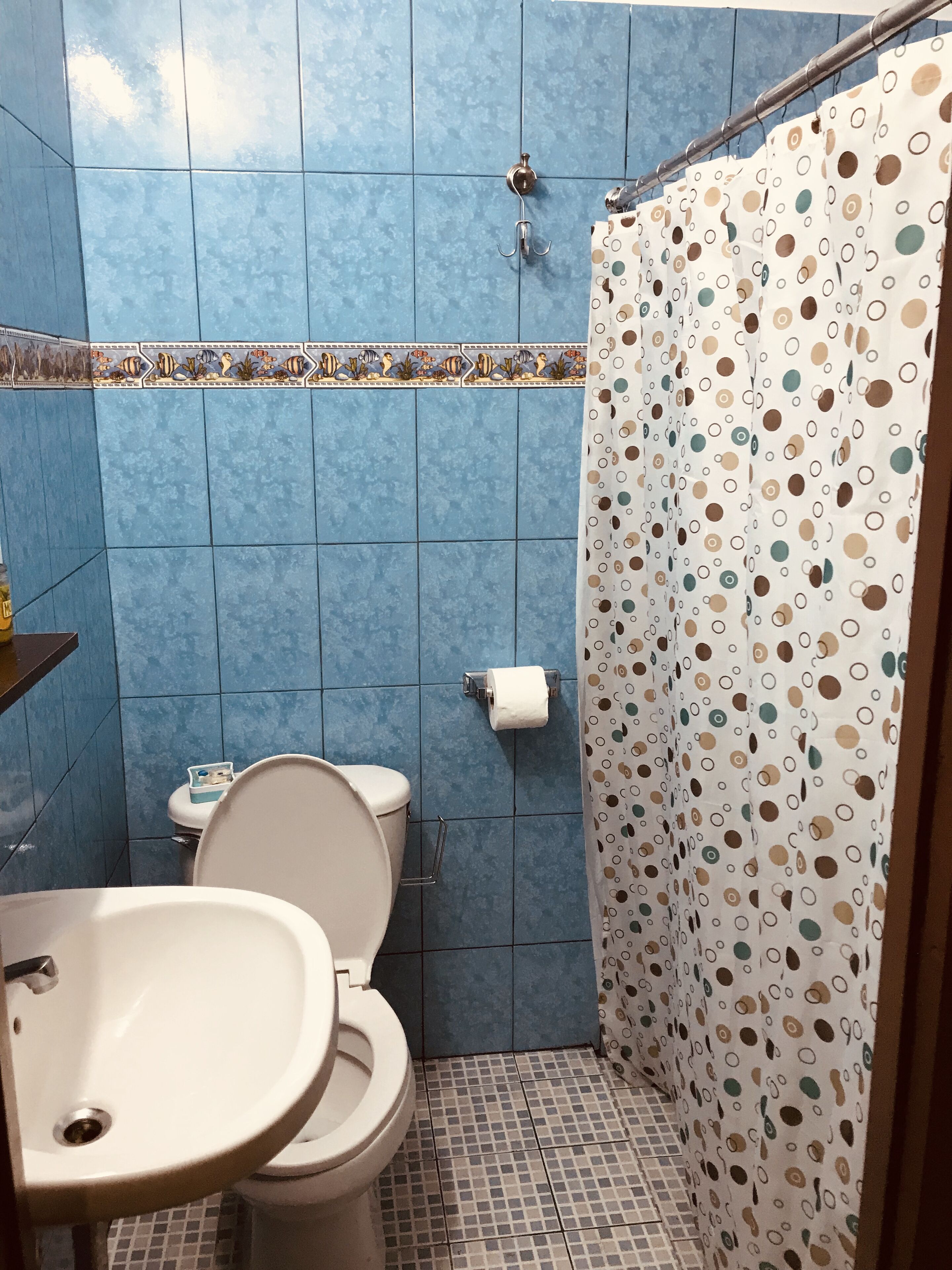 Towels, soap, shampoo, toilet paper