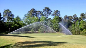 A golf course with a flagstick in the center, surrounded by trees and a clear sky.