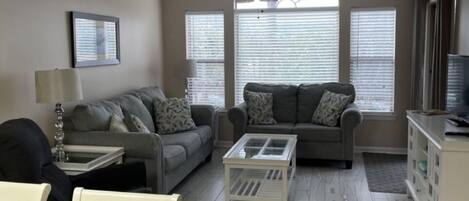 Smart TV, reproductor de DVD, libros, videoteca