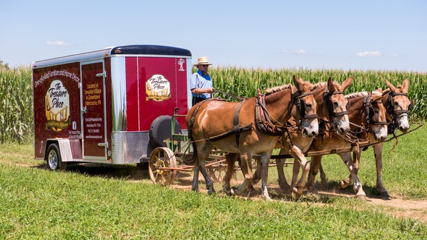 A red trailer with a man driving two brown horses. - Updated and renovated Hideaway Apartment with new kitchen! Charming! (Gordonville)