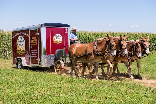 The Treasure Place offers nationwide delivery