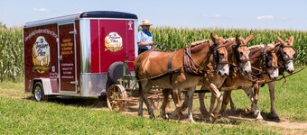 Updated and renovated Hideaway Apartment with brand-new kitchen! Charming!