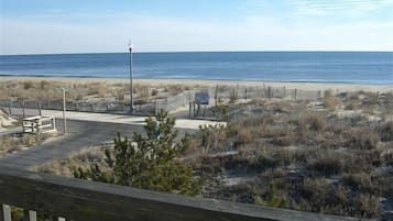 On the beach, sun loungers