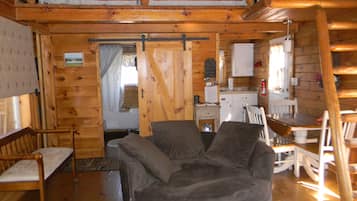 Smart TV, fireplace, DVD player, books