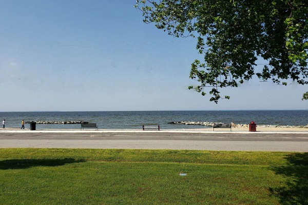 view from front of the house