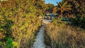 A pathway leading to a house surrounded by dense vegetation and palm trees. - Su Casa 5BR Beachfront Cottage in Indian Rocks (Indian Rocks Beach)