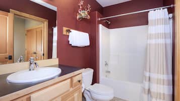 Combined shower/tub, hair dryer, towels, soap