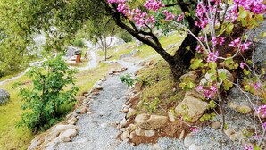 A gravel path with a tree on the right and a chair in the background.