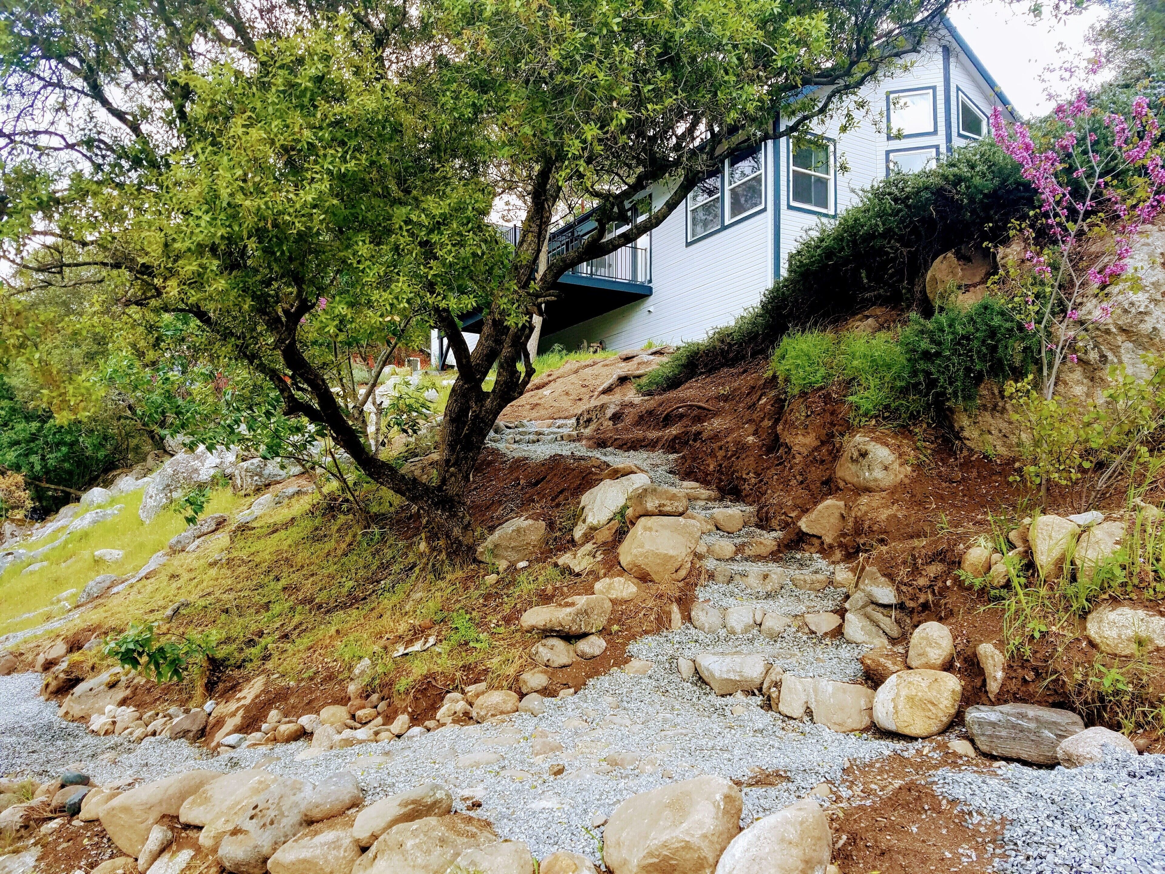 A house with a stone pathway leading to it, surrounded by greenery and rocks.
