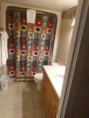 Combined shower/bathtub, hair dryer, towels