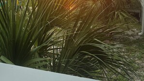 Ein Balkon mit Blick auf den Sonnenuntergang über dem Meer, Palmen und einem weißen Geländer.