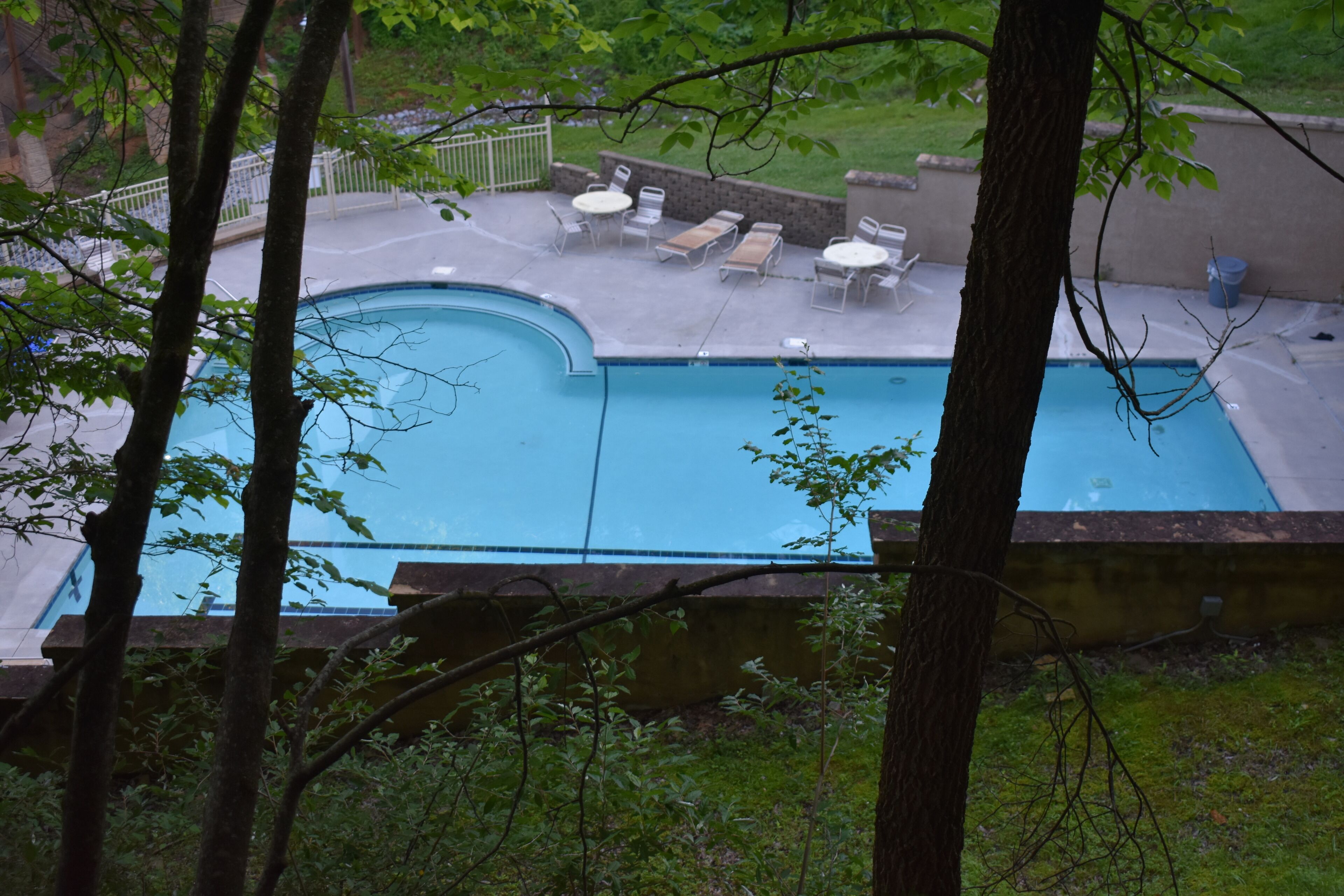 Une piscine entourée d’arbres et d’un mur de briques, avec des chaises longues et des tables à proximité.
