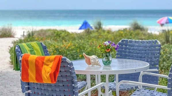 A beachside table with chairs, a vase of flowers, and a seashell.