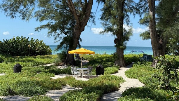 Un sentier mène à un espace aménagé avec des sièges, protégé par un parasol jaune, et entouré de verdure, d’où l’on a vue sur une plage.