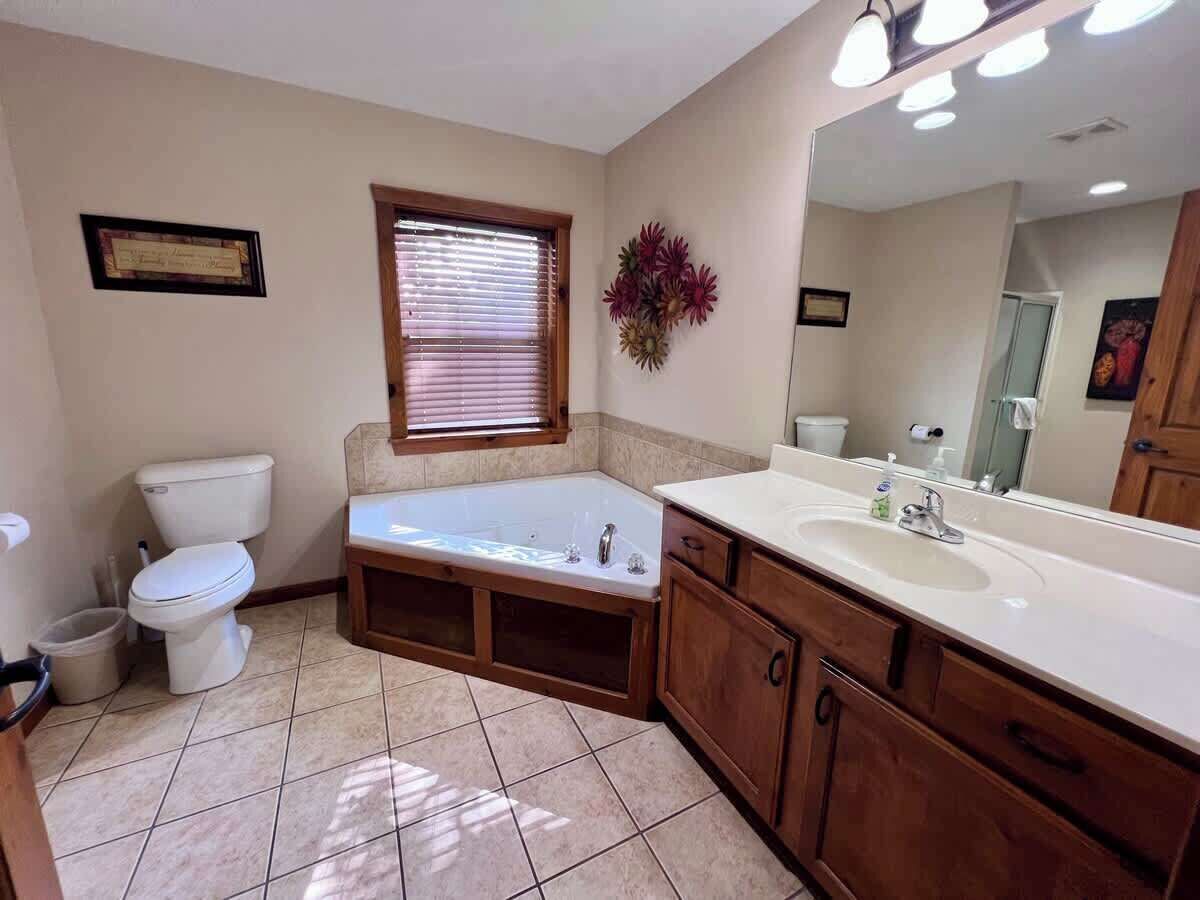 Combined shower/bathtub, jetted bath, hair dryer, towels