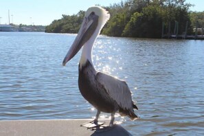 Nicht klassifiziertes Bild, 4 von 26, Schaltfläche