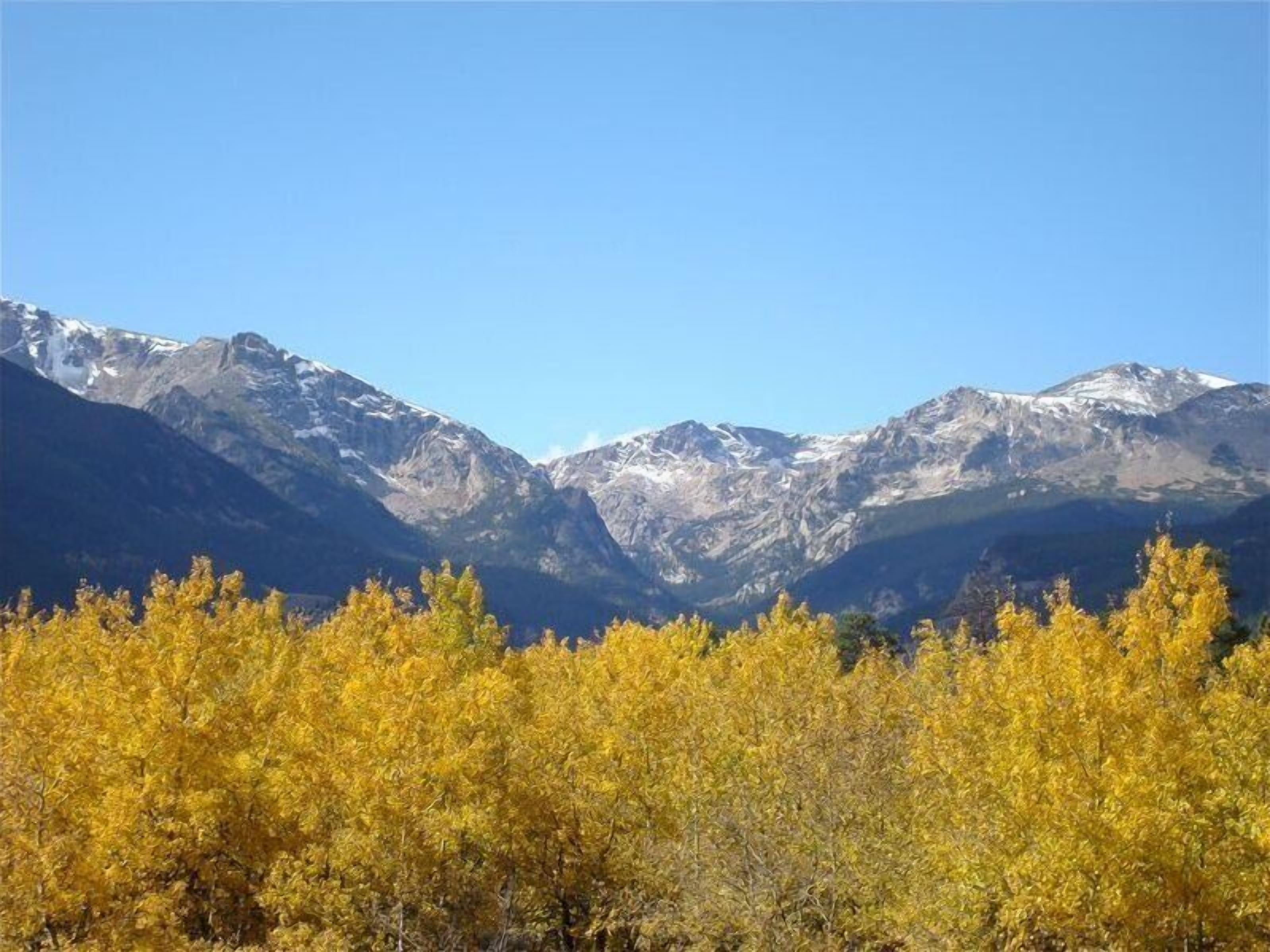 Paesaggio montano con cime innevate e vegetazione gialla in primo piano.