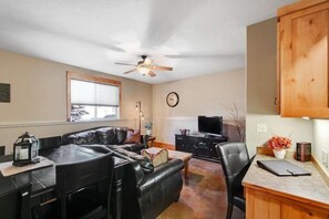 Televisio, takka, DVD-soitin, kirjoja