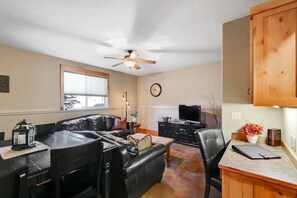 TV, fireplace, DVD player, books