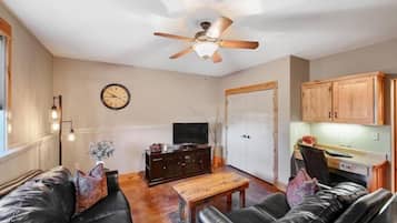 TV, fireplace, DVD player, books