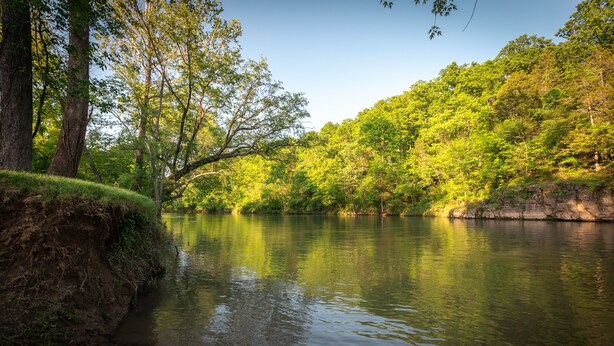 Un río rodeado de abundante vegetación y árboles.