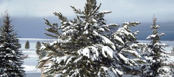 Elk Meadows Beautiful Well Appointed Cabin Just 19 miles from YNP