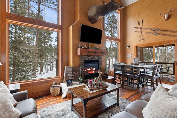 Fernseher, Kamin, DVD-Player