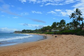 Plage, serviettes de plage