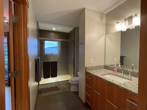 A modern bathroom with a shower, toilet, and vanity.