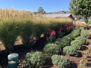 Terrein van de accommodatie