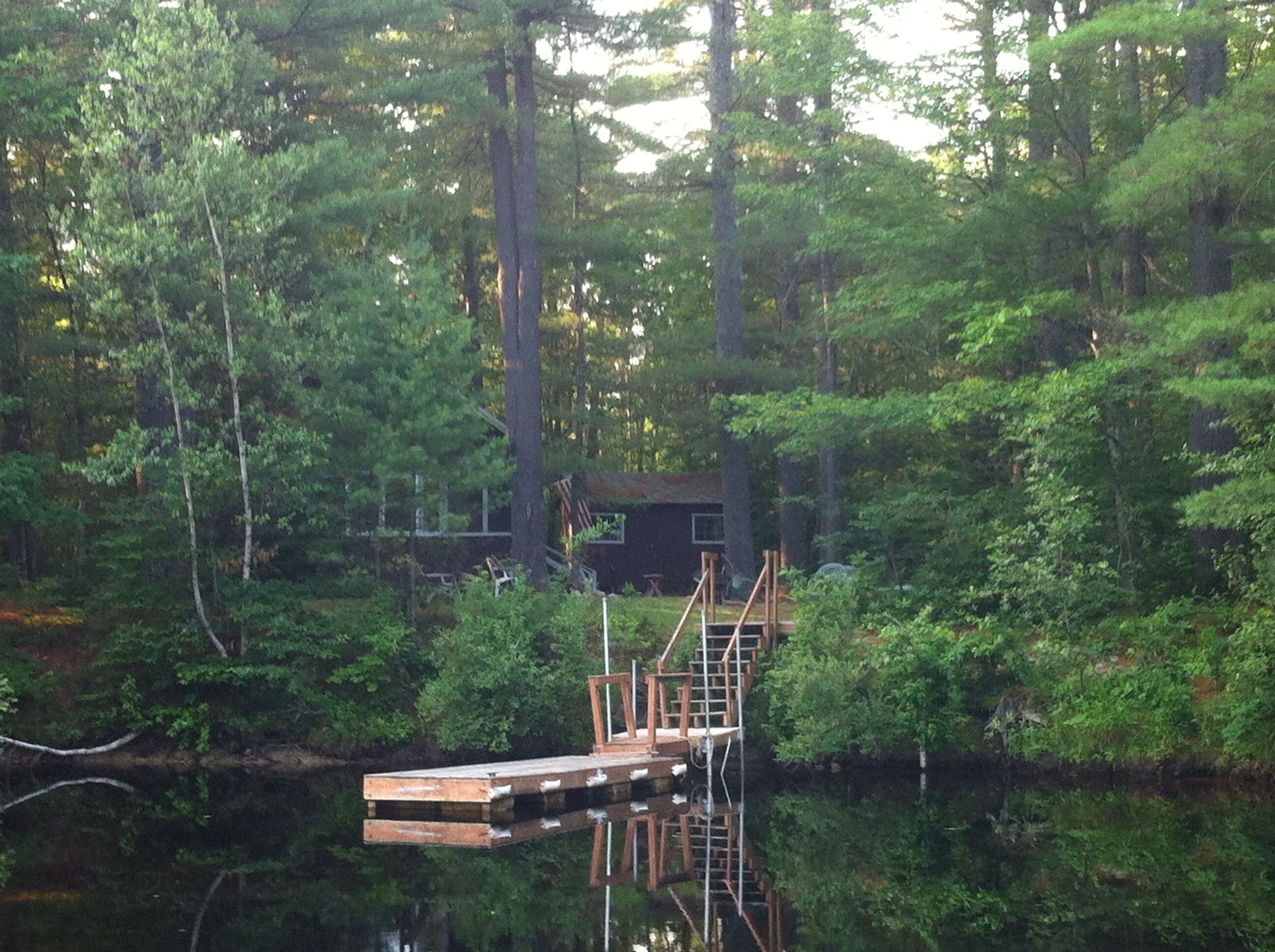 A cabin surrounded by dense forest, accessible by a wooden dock and a staircase.