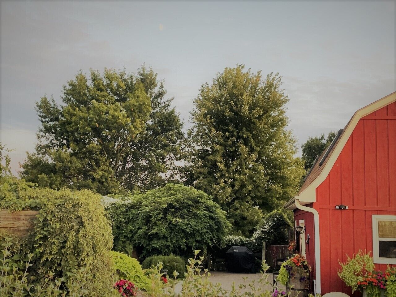A red barn with a covered area, surrounded by lush greenery and trees.