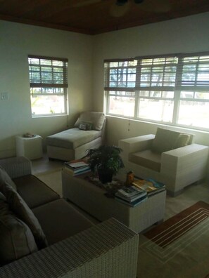 Flat-screen TV, DVD player, books, stereo