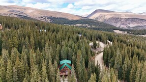 Exterior - Relax with Family, Friends and Dogs, in a Secluded 4b/3b Cabin in the Woods (Fairplay)