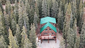 A cabin surrounded by dense forest. - Relax with Family, Friends and Dogs, in a Secluded 4b/3b Cabin in the Woods (Fairplay)