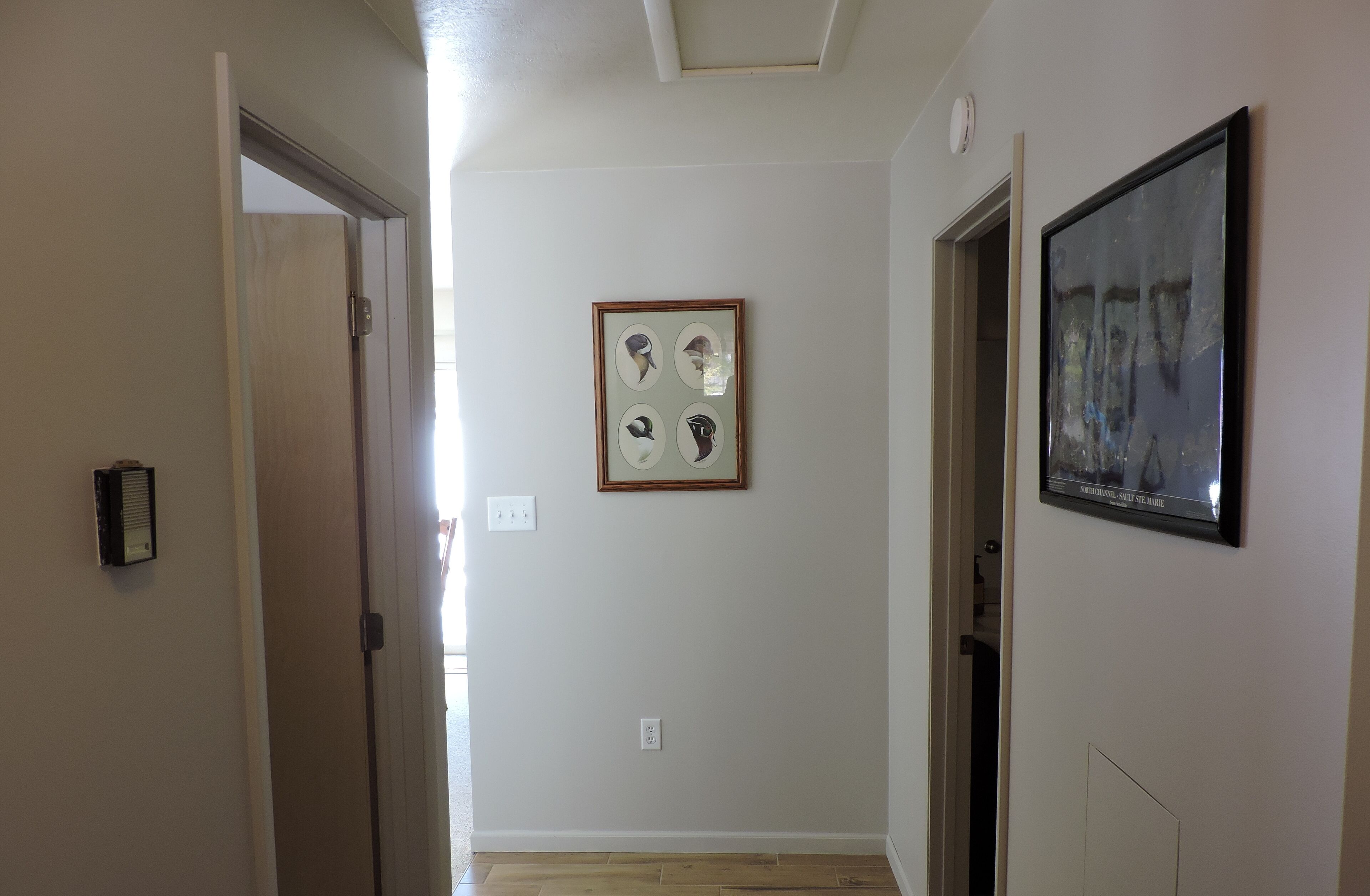 Ein Flur mit einem gerahmten Bild von Tierkönchen, einem Thermostat und einem gerahmten abstrakten Gemälde an der Wand.