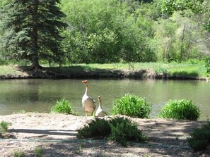 Lake