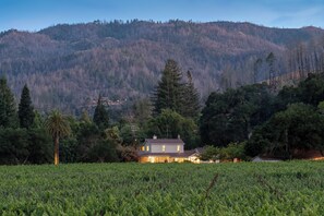 Exterior - The St. Helena House (Saint Helena)