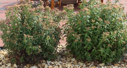 Näkymät lahdelle, 5 mh - perheystävällinen 4-tason kaupunkitalo - uusi ruostumaton keittiö