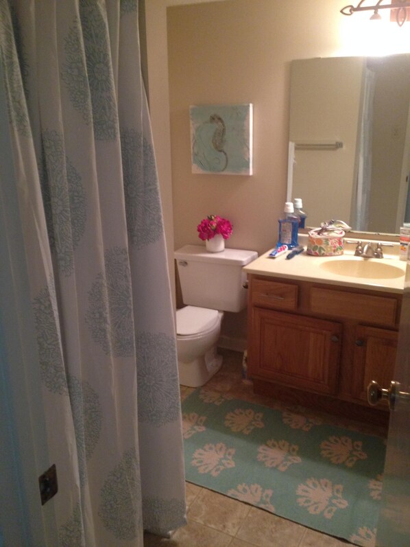 Une salle de bain avec des toilettes, un lavabo et un miroir. Un tapis à motifs floraux recouvre le sol.