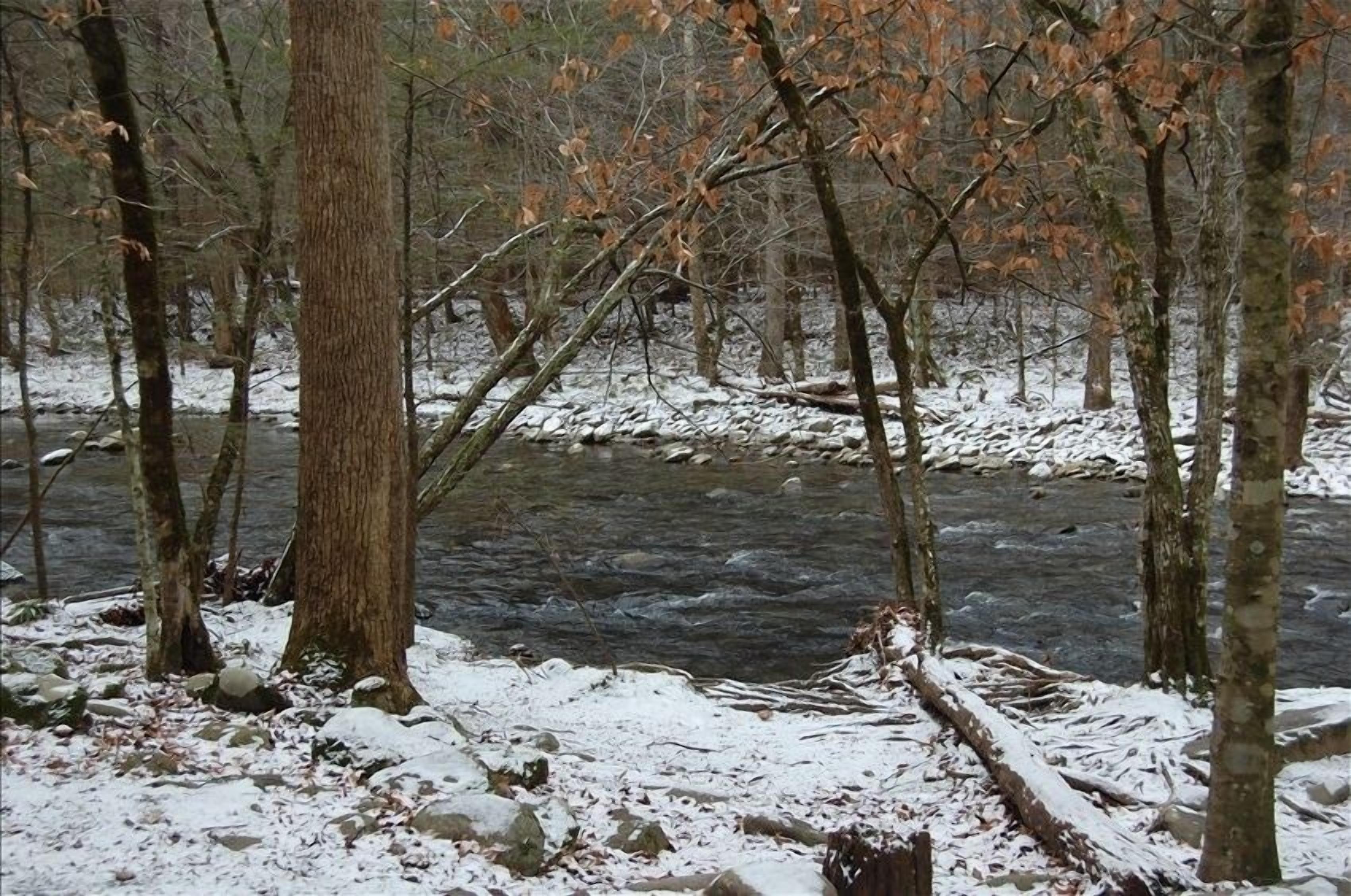 A river flowing through a forest with snow-covered ground and trees.