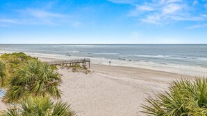 Een strand met een houten pier en palmbomen.