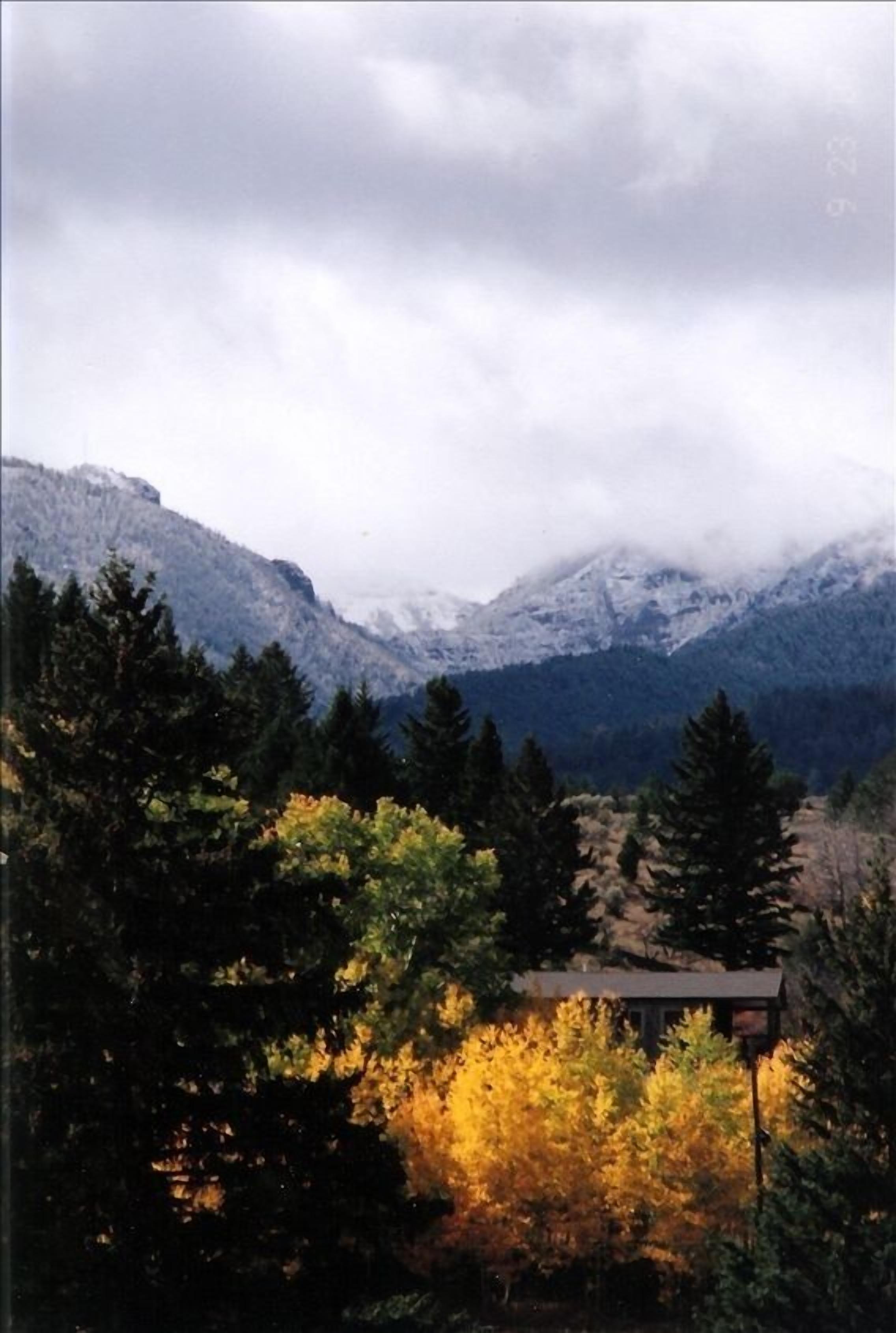 Aspen Cabin Near Yellowstone - Horse Rides,zip Lining, Rafting, Hiking