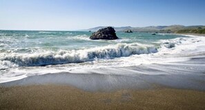 Beach - Your Oceanfront Experience - Hot Tub - Lovely Fenced Courtyard (Bodega Bay)