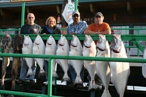 A group of people standing behind a railing with several large fish displayed in front of them.