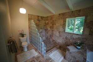 Combined shower/tub, hair dryer, towels, soap