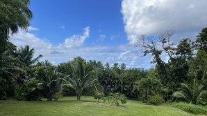 A lush green lawn with palm trees and dense foliage. - Beautiful Home in paradise! (Hana)